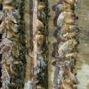 Regulación de la Pesca por Especie Invasora  